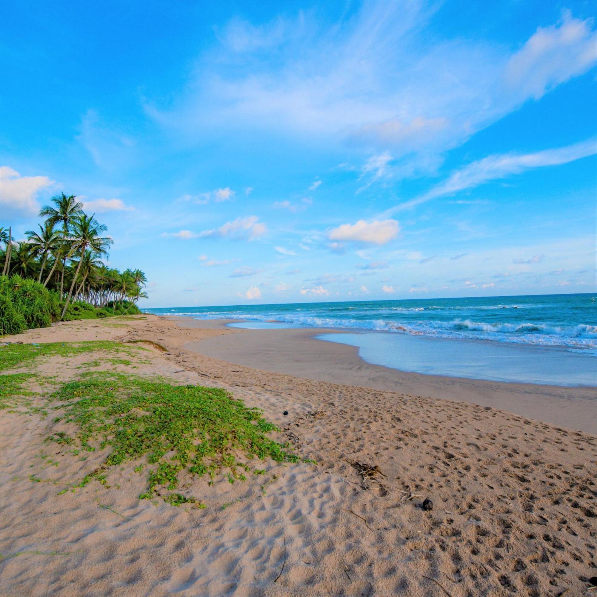 Arhimser Villa-Superb 4 Bedroom Beachfront For 8 In Ranna, Tangalle, Bb, Pool, Free Pick Up For 7 Night Stays Arriving Together, Serviced, Taxes Included Eksteriør billede
