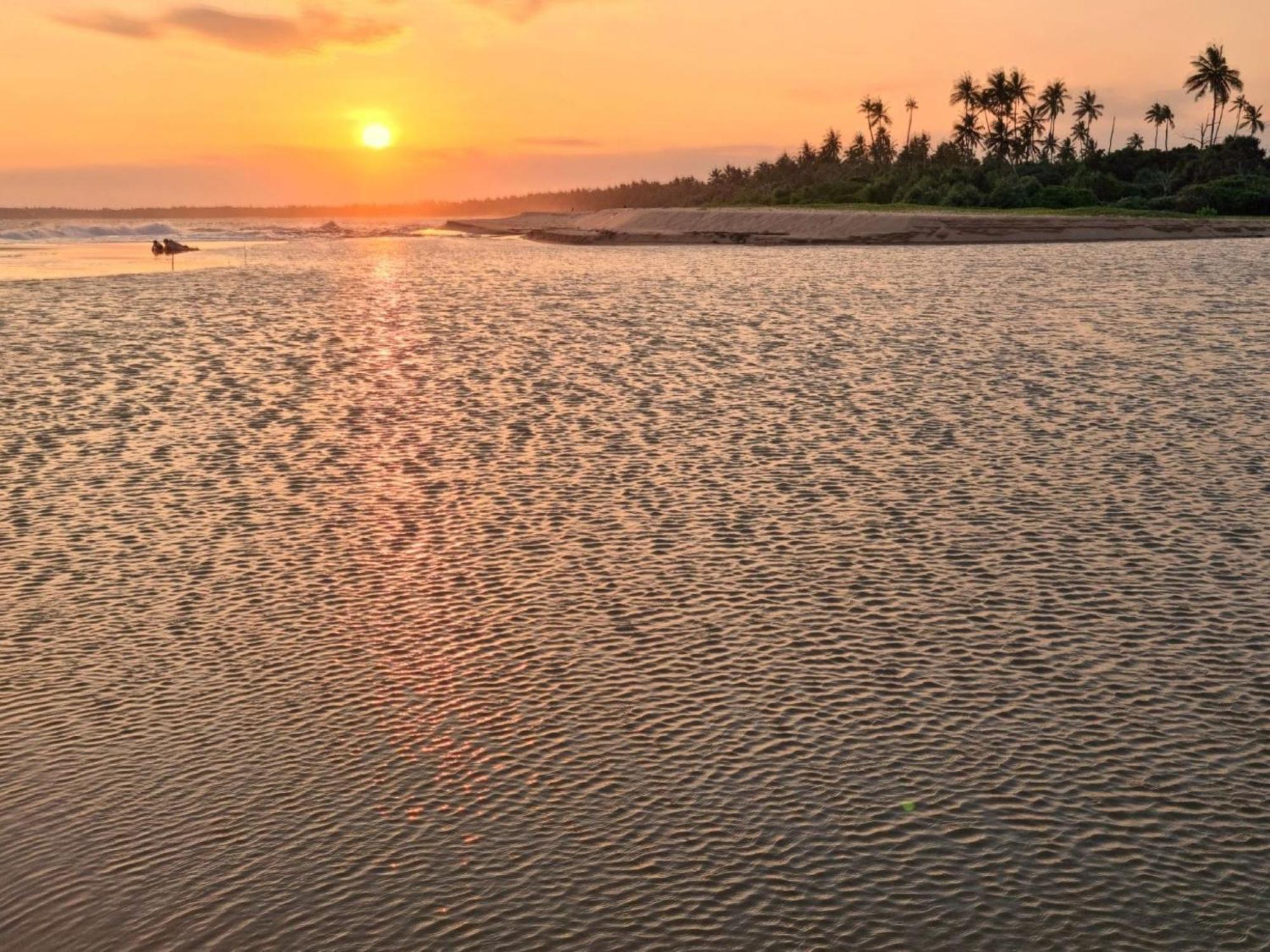 Arhimser Villa-Superb 4 Bedroom Beachfront For 8 In Ranna, Tangalle, Bb, Pool, Free Pick Up For 7 Night Stays Arriving Together, Serviced, Taxes Included Eksteriør billede